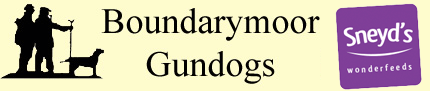 Boundarymoor Gundogs